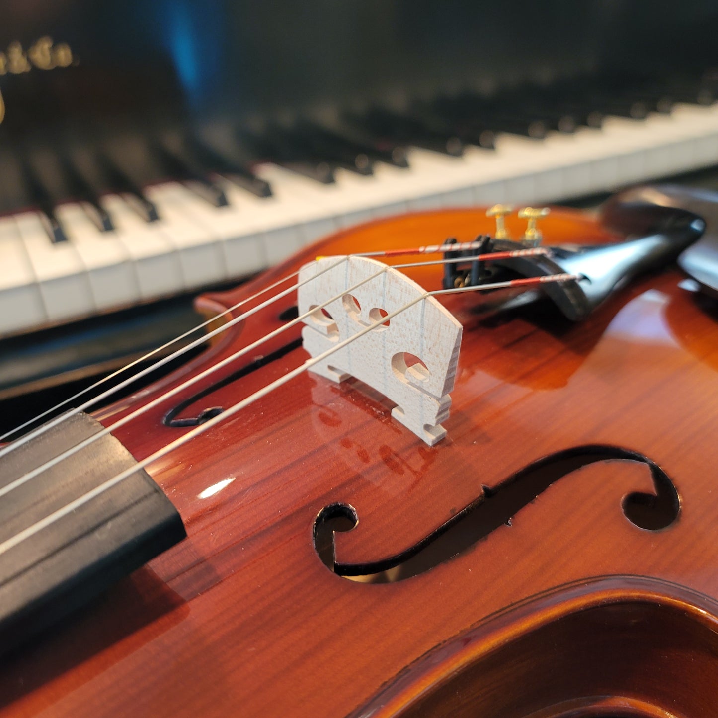 Coepi (Starter) Violin Package - 1/2 Size