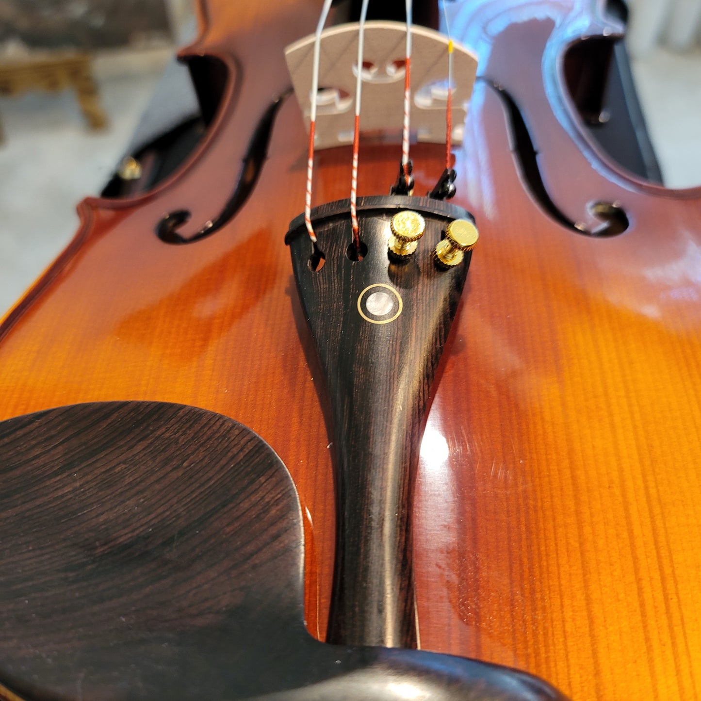 Coepi (Starter) Violin Package - 1/2 Size