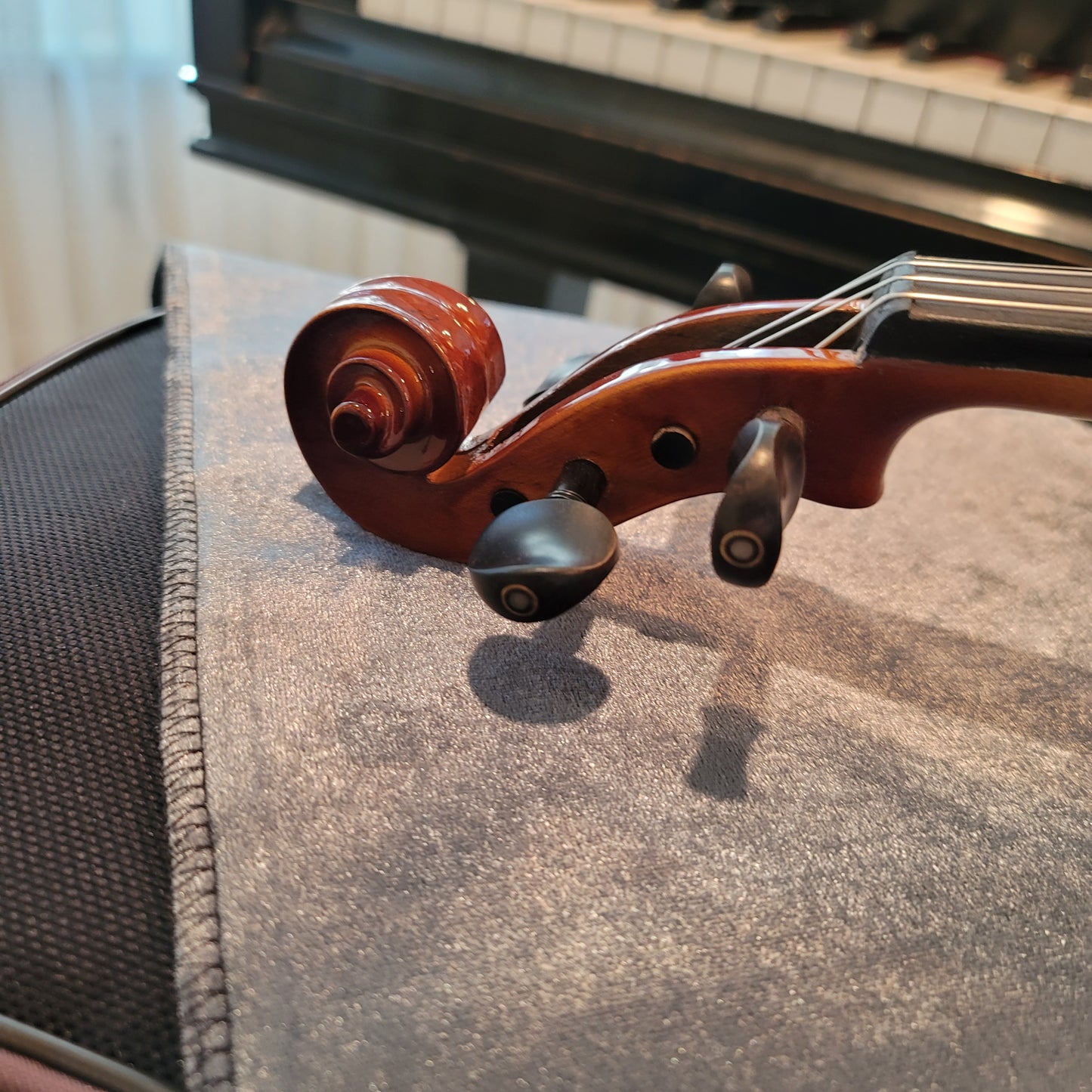 Coepi (Starter) Violin Package - 1/2 Size