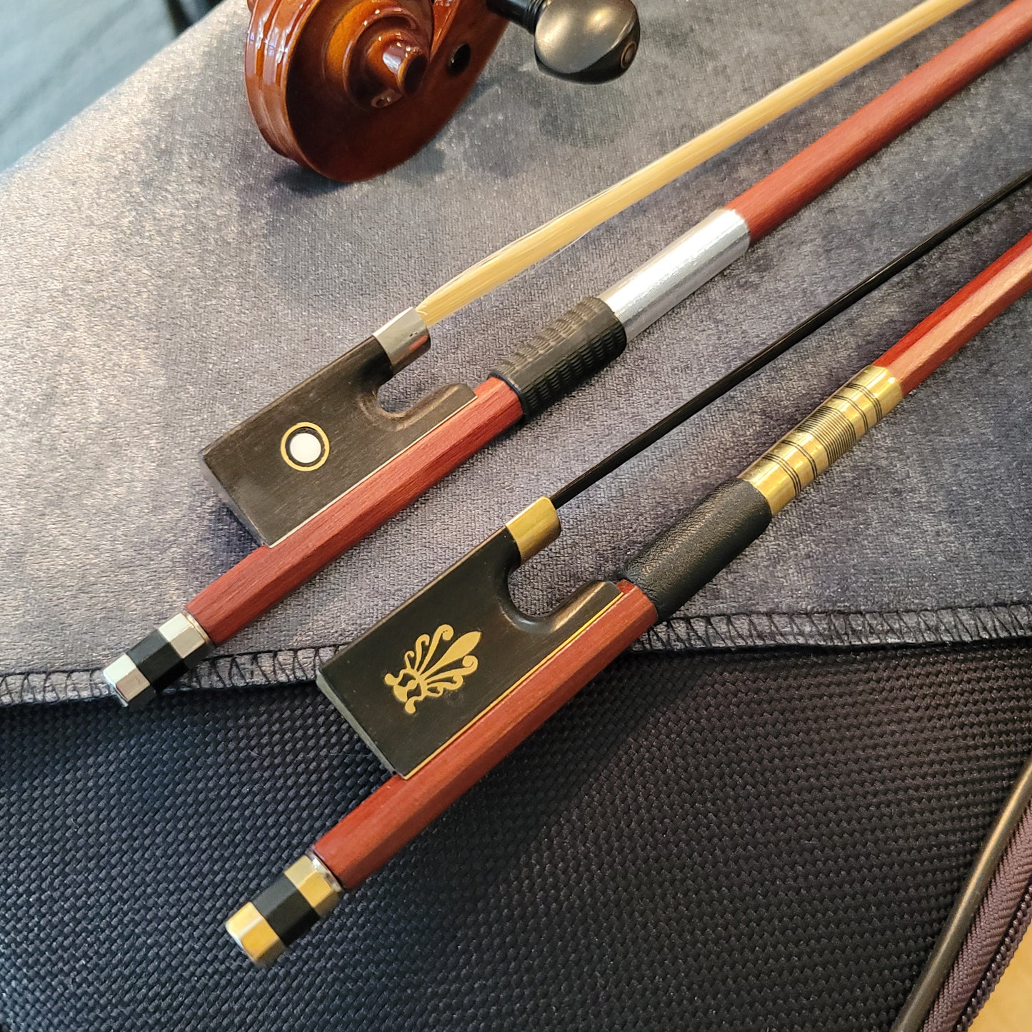 Coepi (Starter) Violin Package - 1/2 Size