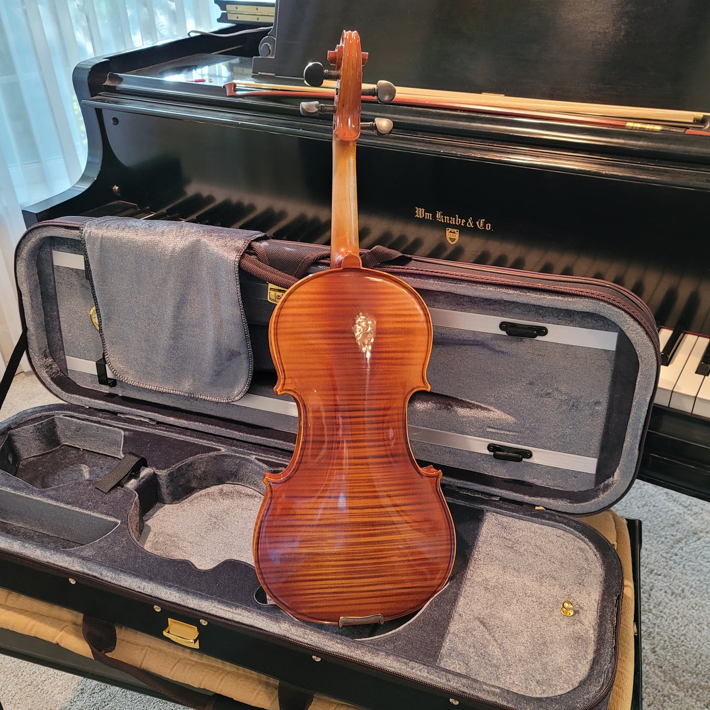 Inceptor (Beginner) Violin Package - 3/4 Size