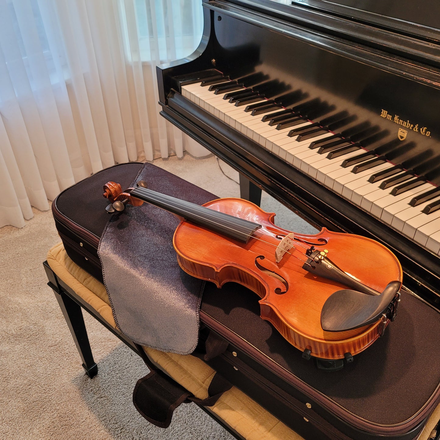Inceptor (Beginner) Violin Package - 3/4 Size
