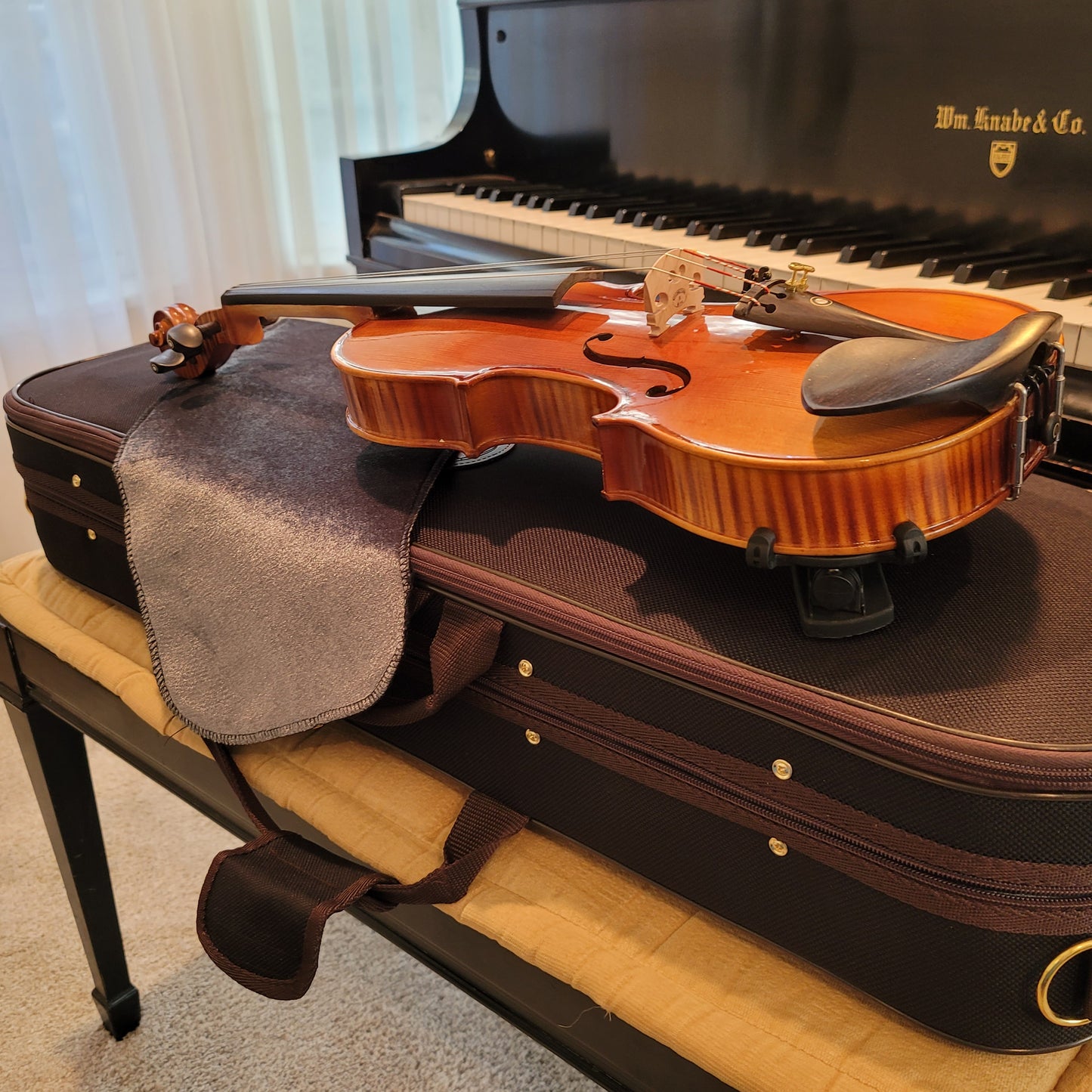 Inceptor (Beginner) Violin Package - 3/4 Size