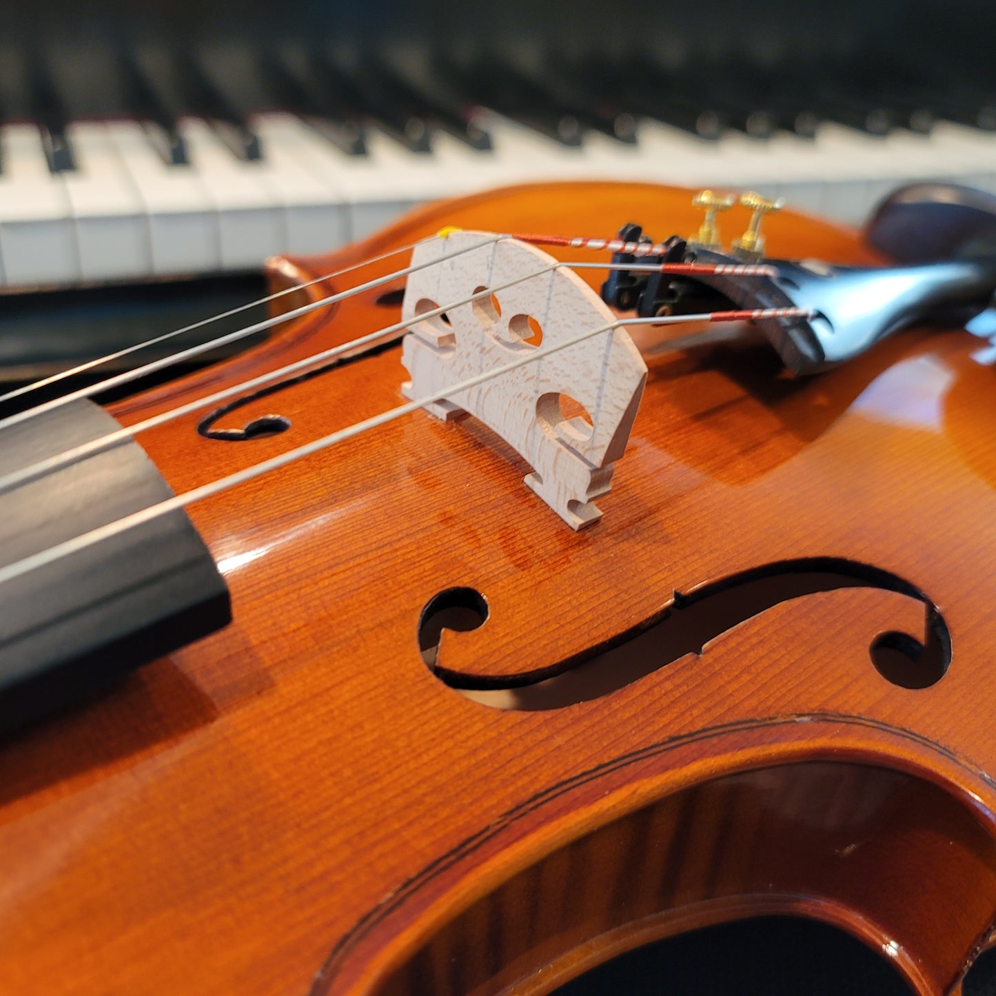 Inceptor (Beginner) Violin Package - 3/4 Size