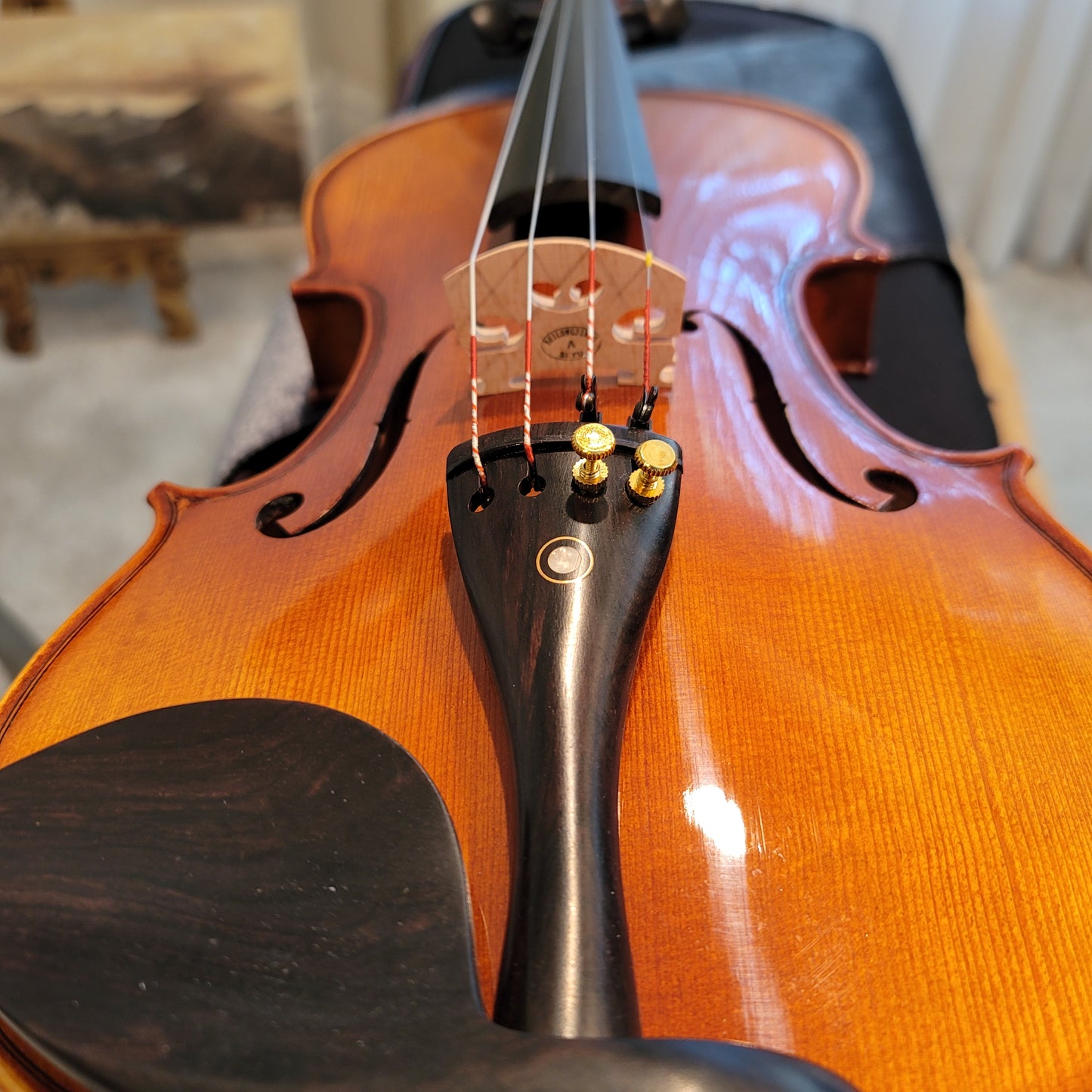Inceptor (Beginner) Violin Package - 3/4 Size