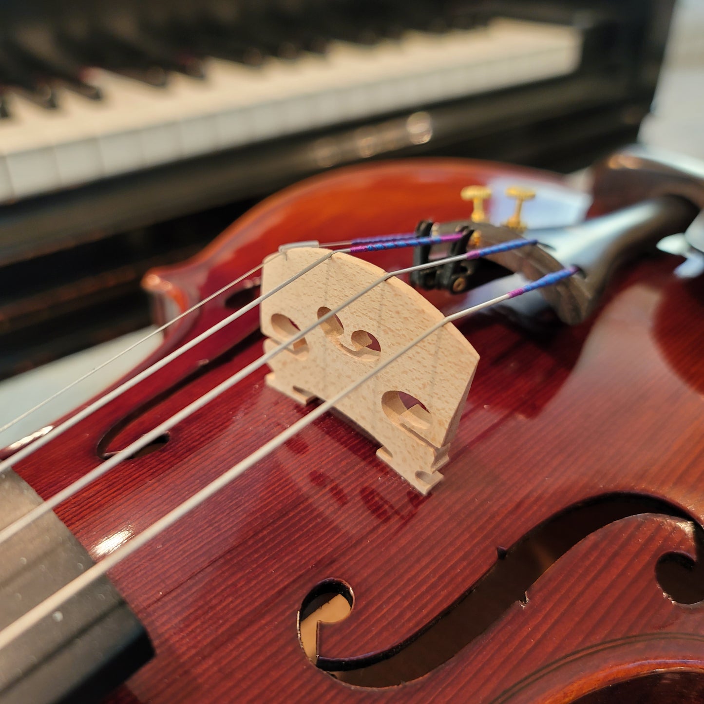 Medius Quatrus (Intermediate) Violin Package