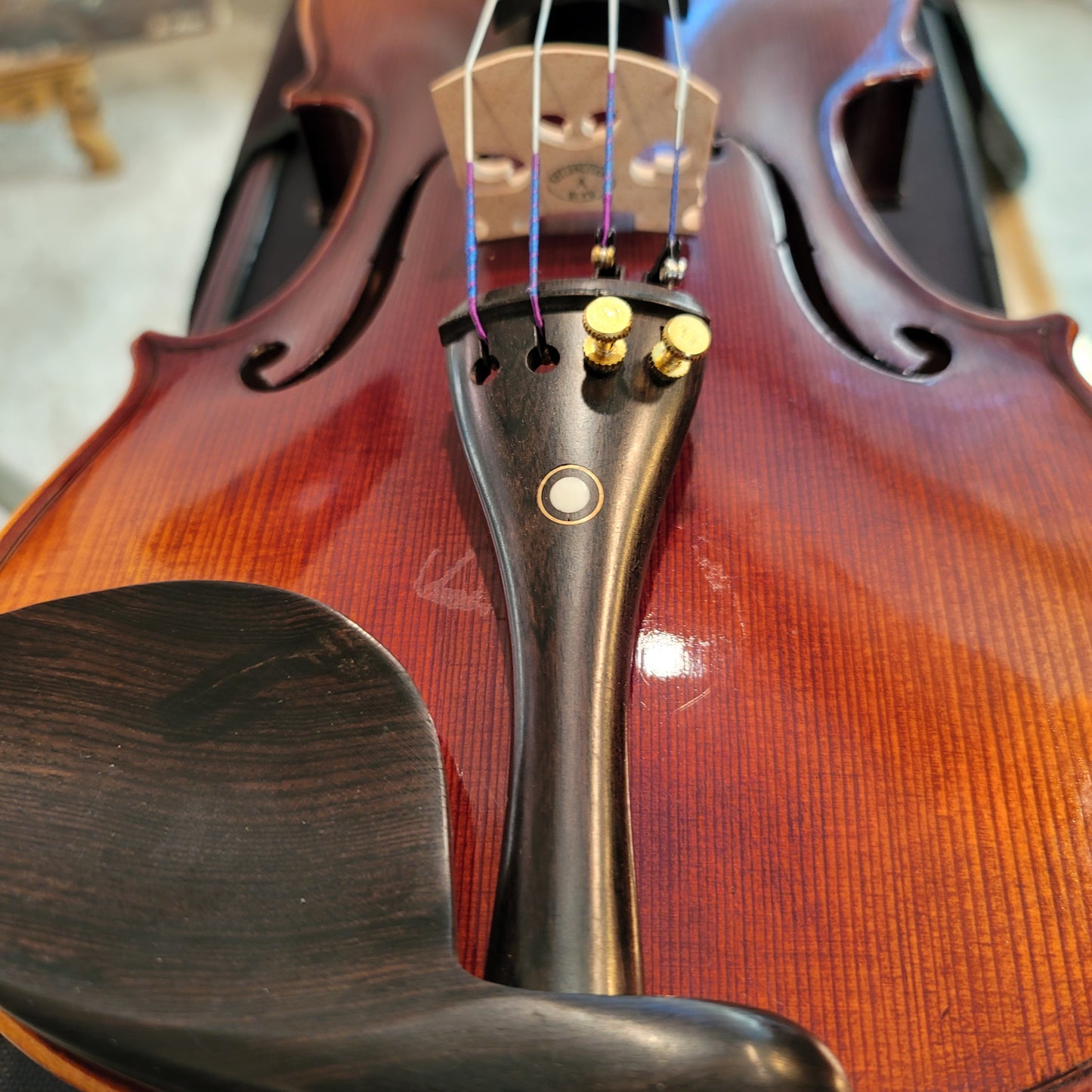 Medius Quatrus (Intermediate) Violin Package