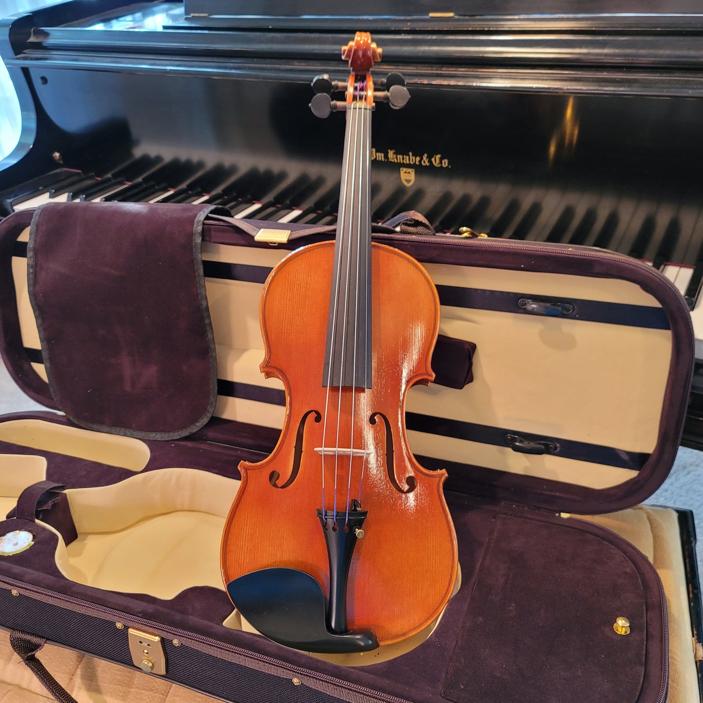 Provecta Tertius (Advanced) Violin Package
