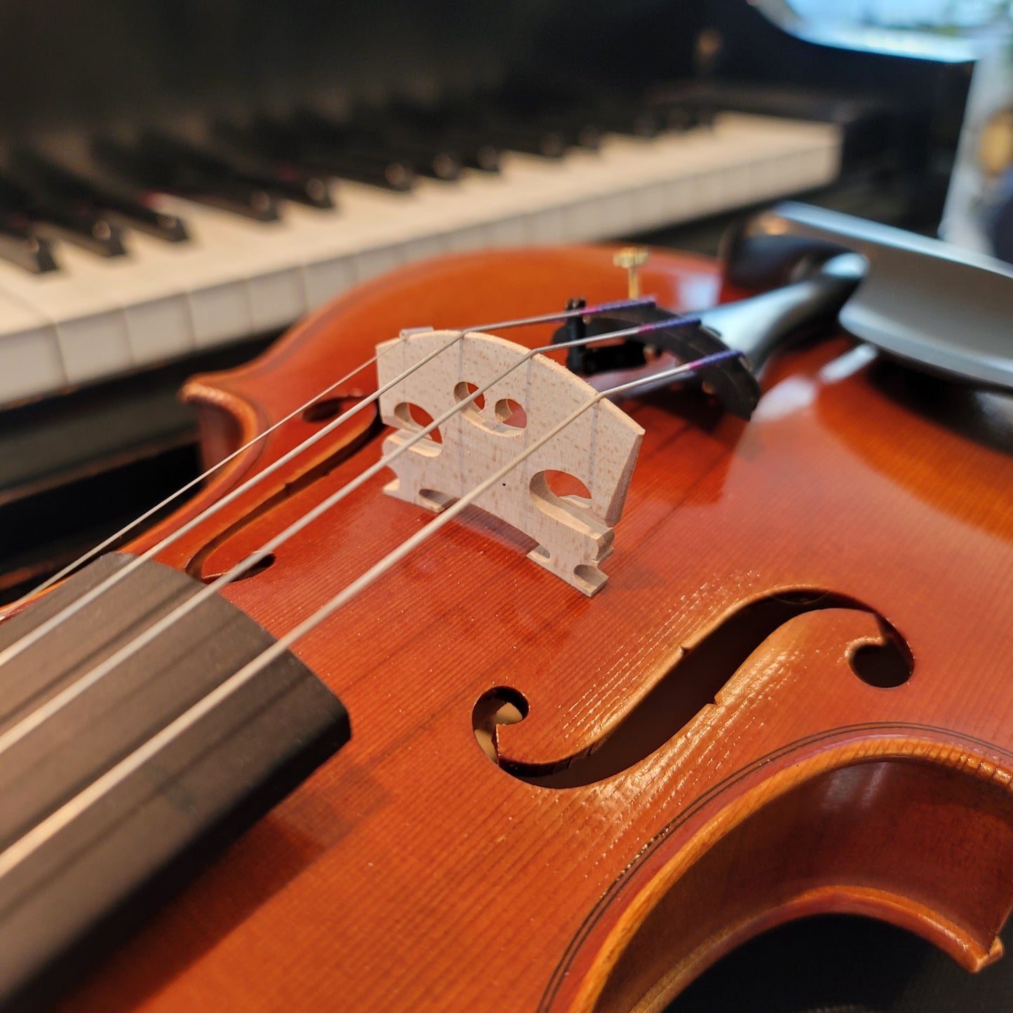 Provecta Tertius (Advanced) Violin Package