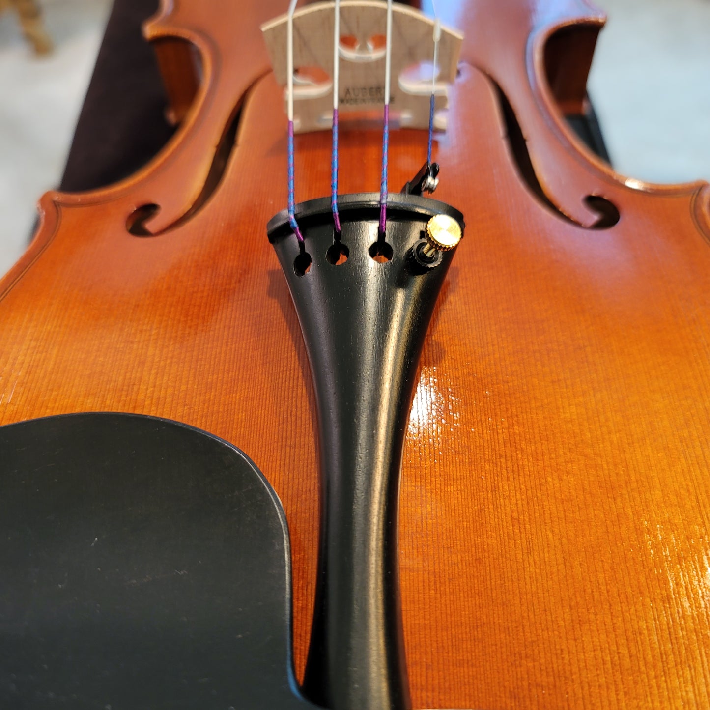 Provecta Tertius (Advanced) Violin Package