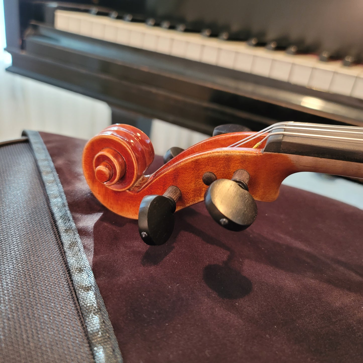 Provecta Tertius (Advanced) Violin Package