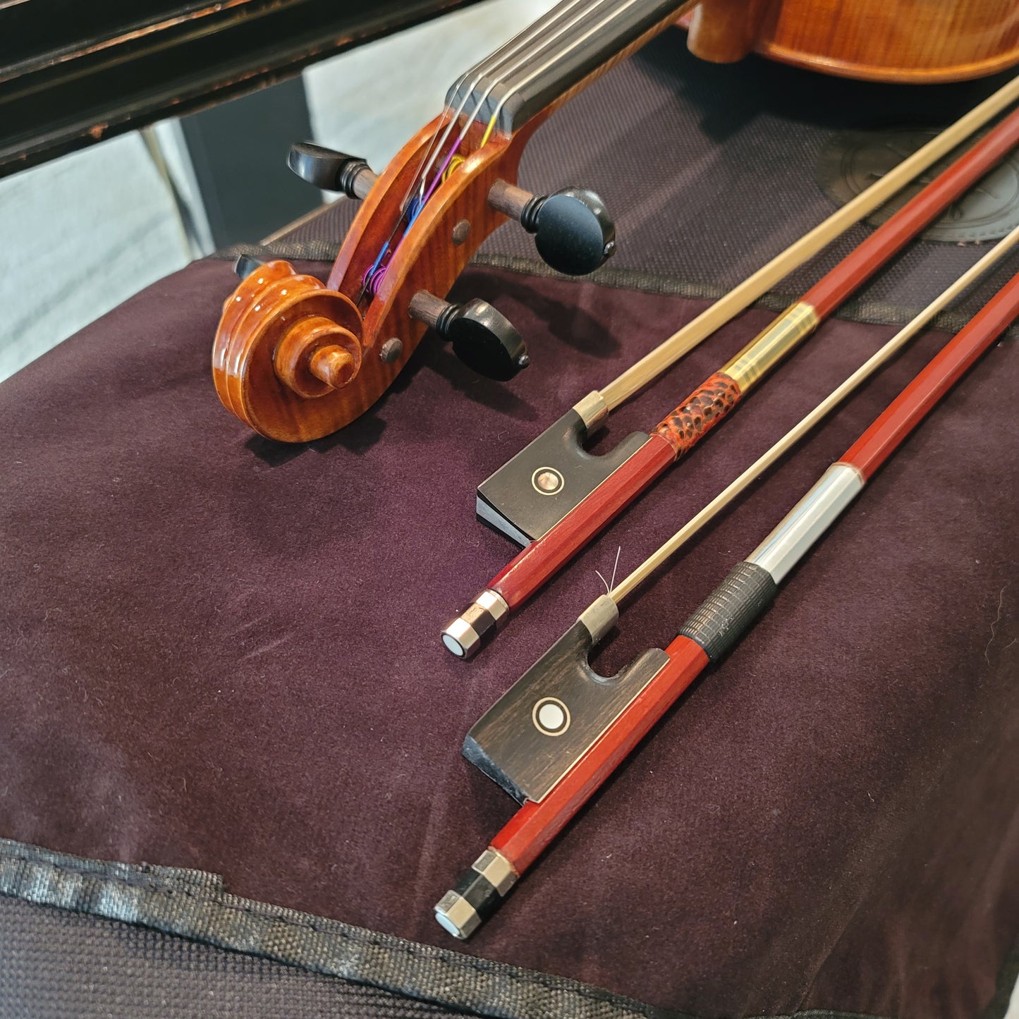Provecta Tertius (Advanced) Violin Package