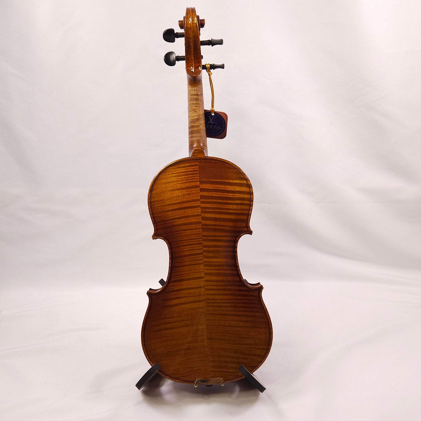 Provecta Primis (Advanced) Violin Package