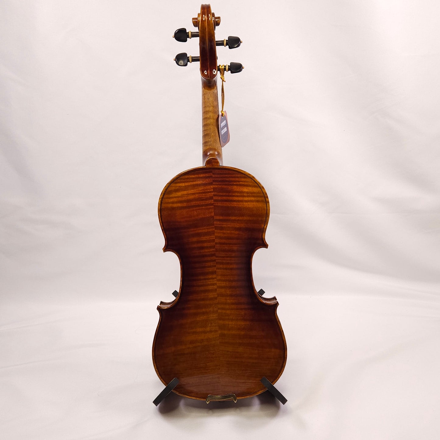 Provecta Secundus (Advanced) Violin Package